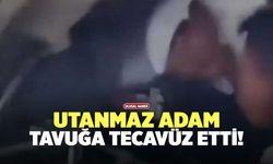 Utanmaz Adam Tavuğa Tecavüz Etti!