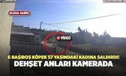 6 Başıboş Köpek 57 Yaşındaki Kadına Saldırdı! O Anlar Kamerada