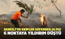 Denizli’de Ekipler Seferber Oldu! 6 Noktaya Yıldırım Düştü