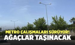 Metro Çalışmaları Sürüyor! Ağaçlar Taşınacak