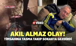 Akıl Almaz Olay! Timsahına Tasma Takıp Sokakta Gezdirdi