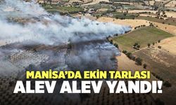 Manisa’da Ekin Tarlası Alev Alev Yandı!