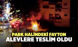 Park Halindeki Fayton Alevlere Teslim Oldu