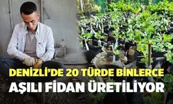 Denizli’de 20 Türde Binlerce Aşılı Fidan Üretiliyor