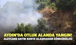 Aydın’da Otluk Alanda Yangın! Alevlere Antik Kente Ulaşmadan Söndürüldü