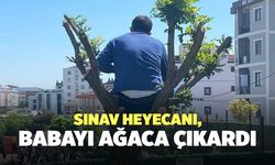 Sınav Heyecanı, Babayı Ağaca Çıkardı