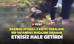 Başıboş Pitbull 2 Kişiyi Yaraladı: Bir Vatandaş Boğazını Sıkarak Etkisiz Hale Getirdi