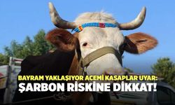 Bayram Yaklaşıyor Acemi Kasaplara Uyarı: Şarbon Riskine Dikkat!