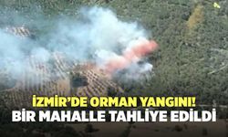 İzmir’de Orman Yangını! Bir Mahalle Tahliye Edildi