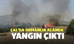 Çal’da Ormanlık Alanda Yangın Çıktı