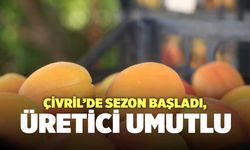 Çivril’de Sezon Başladı, Üretici Umutlu