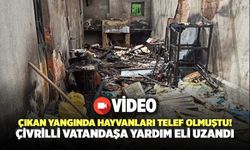 Çıkan Yangında Hayvanları Telef Olmuştu! Çivrilli Vatandaşa Yardım Eli Uzandı