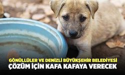 Gönüllüler ve Denizli Büyükşehir Belediyesi Çözüm İçin Kafa Kafaya Verecek