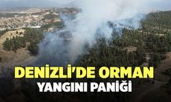 Denizli'de Orman Yangını Paniği