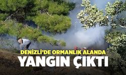 Denizli’de Ormanlık Alanda Yangın Çıktı