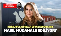 Denizli'de Saldırgan Sokak Köpeklerine Nasıl Müdahale Ediliyor?