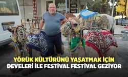 Yörük Kültürünü Yaşatmak İçin Develeri ile Festival Festival Geziyor