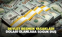 Devlet resmen yasakladı: Doları olanlara soğuk duş