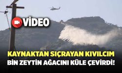 Kaynaktan Çıkan Kıvılcım, 50 Dönümlük Araziyi Küle Çevirdi!