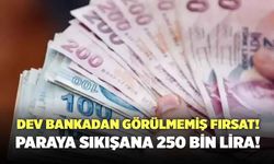 Paraya sıkışana 250 bin lira: Dev bankadan görülmemiş fırsat