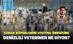 Sokak Köpeklerinin Uyutulma Önerisine Denizlili Veteriner Ne Diyor?