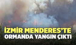 İzmir Menderes’te Ormanda Yangın Çıktı