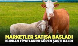 Marketler satışa başladı: Kurban fiyatlarını gören şaştı kaldı