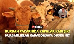 Kurban Pazarında Kafalar Karışık! Kurbanlıklar Karaborsaya Düşer Mi?