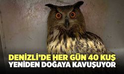 Denizli’de Her Gün 40 Kuş Yeniden Doğaya Kavuşuyor