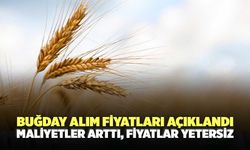 Buğday Alım Fiyatları Açıklandı! Maliyetler Arttı, Fiyatlar Yetersiz