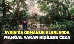 Aydın’da Ormanlık Alanlarda Mangal Yakan Kişilere Ceza