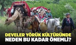 Develer Yörük Kültüründe Neden Bu Kadar Önemli?