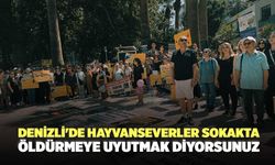 Denizli'de Hayvanseverler Sokakta: Öldürmeye Uyutmak Diyorsunuz