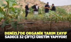 Denizli'de Organik Tarım Zayıf Sadece 32 Çiftçi Üretim Yapıyor!