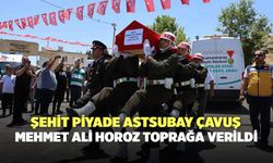 Şehit Piyade Astsubay Çavuş Mehmet Ali Horoz Toprağa Verildi