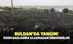 Buldan’da Yangın! Üzüm Bağlarına Ulaşmadan Söndürüldü