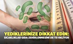 Yediklerinize Dikkat Edin: Sıcaklıklar Gıda Zehirlenmesini De Tetikliyor