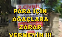 YAPIN DA DOĞAYA VE AĞAÇLARA ZARAR VERMEYİN