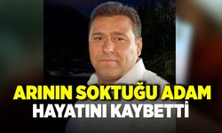 ÇİVRİL'DE ARININ SOKTUĞU ADAM HAYATINI KAYBETTİ