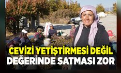 CEVİZİ YETİŞTİRMEK DEĞİL DEĞERİNDE SATMAK ZOR