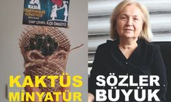 AYSUN YAZICI’DAN DİKENLİ KAKTÜSE İĞNELİ SÖZLER