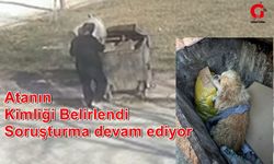 Köpeği Çöpe Atan Kadın Belli Oldu