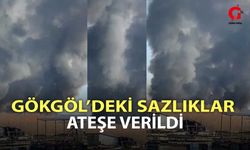 Gökgöl’deki sazlıklar ateşe verildi