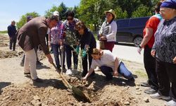 Çivrilli Başkanlar Anneler İçin Ağaç Dikti