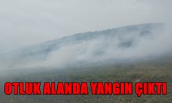 Irgıllı’da Otluk Alanda Yangın Çıktı