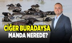 Semih Dere ; "Yolsuzluklarla İlgili Adli Makamlara Gideceğiz"