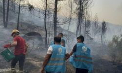 Ülkü Ocakları’ndan yangın alarmı "YEŞİLİN YANMAMASI İÇİN MÜCADELE ETMEYE HAZIRIZ"