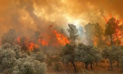 Yangında şehit olan isimler belli oldu