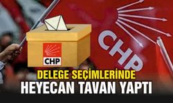 Çivril CHP’de Delege Seçimleri Devam Ediyor
