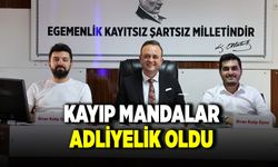 Çivril’in Kayıp Mandaları Adliyelik Oldu